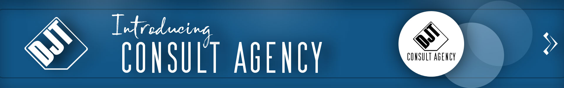 Consult Agency